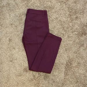 Express Columnist dress pants